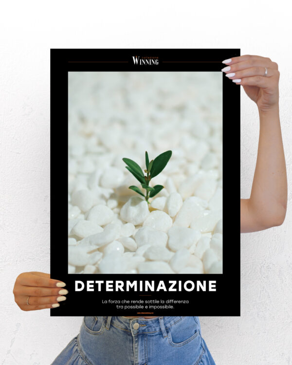 Determinazione