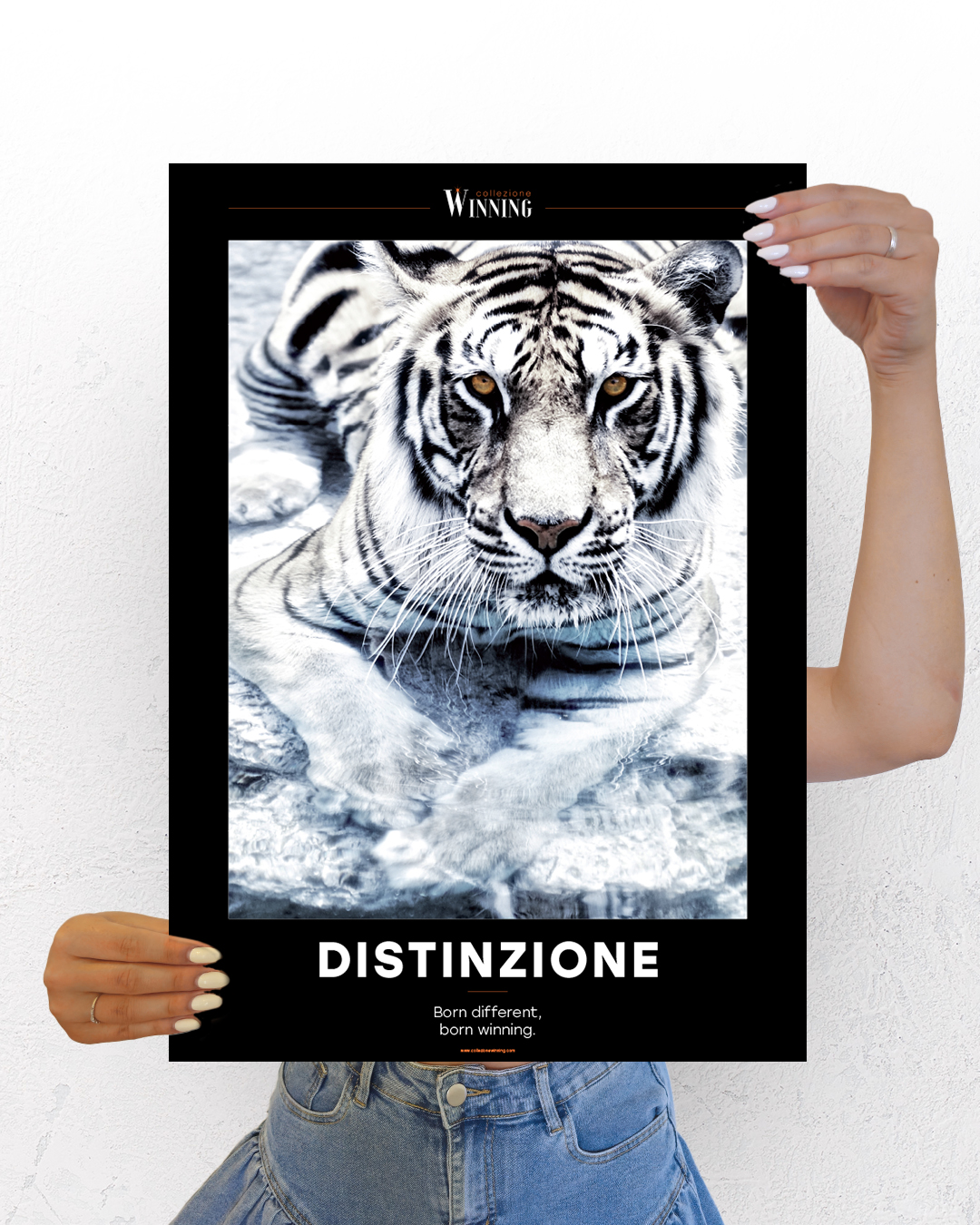 Distinzione