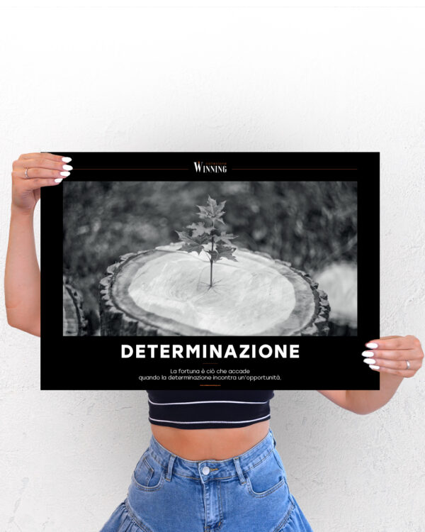 Determinazione